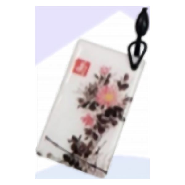 ميدالية تاج (Keyfob) 13.56MHz IC /Epoxy Tag