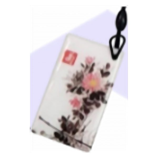 ميدالية تاج (Keyfob) 125KHz ID Epoxy Tag